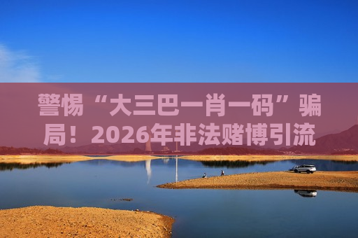 警惕“大三巴一肖一码”骗局！2026年非法赌博引流陷阱的风险警示
