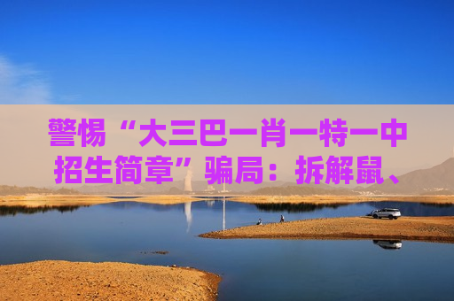 警惕“大三巴一肖一特一中招生简章”骗局：拆解鼠、虎、龙、马与03-12-25-31-40-47:T22诱饵的诈骗套路