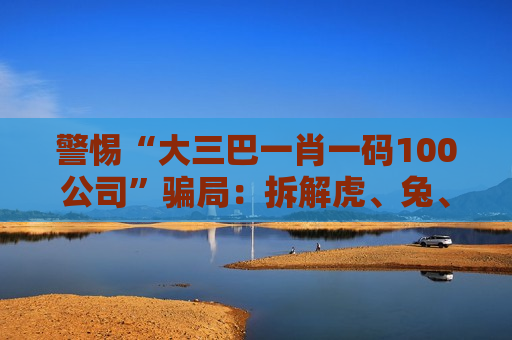 警惕“大三巴一肖一码100公司”骗局：拆解虎、兔、龙、马与03-12-25-31-40-47:T23背后的诈骗陷阱
